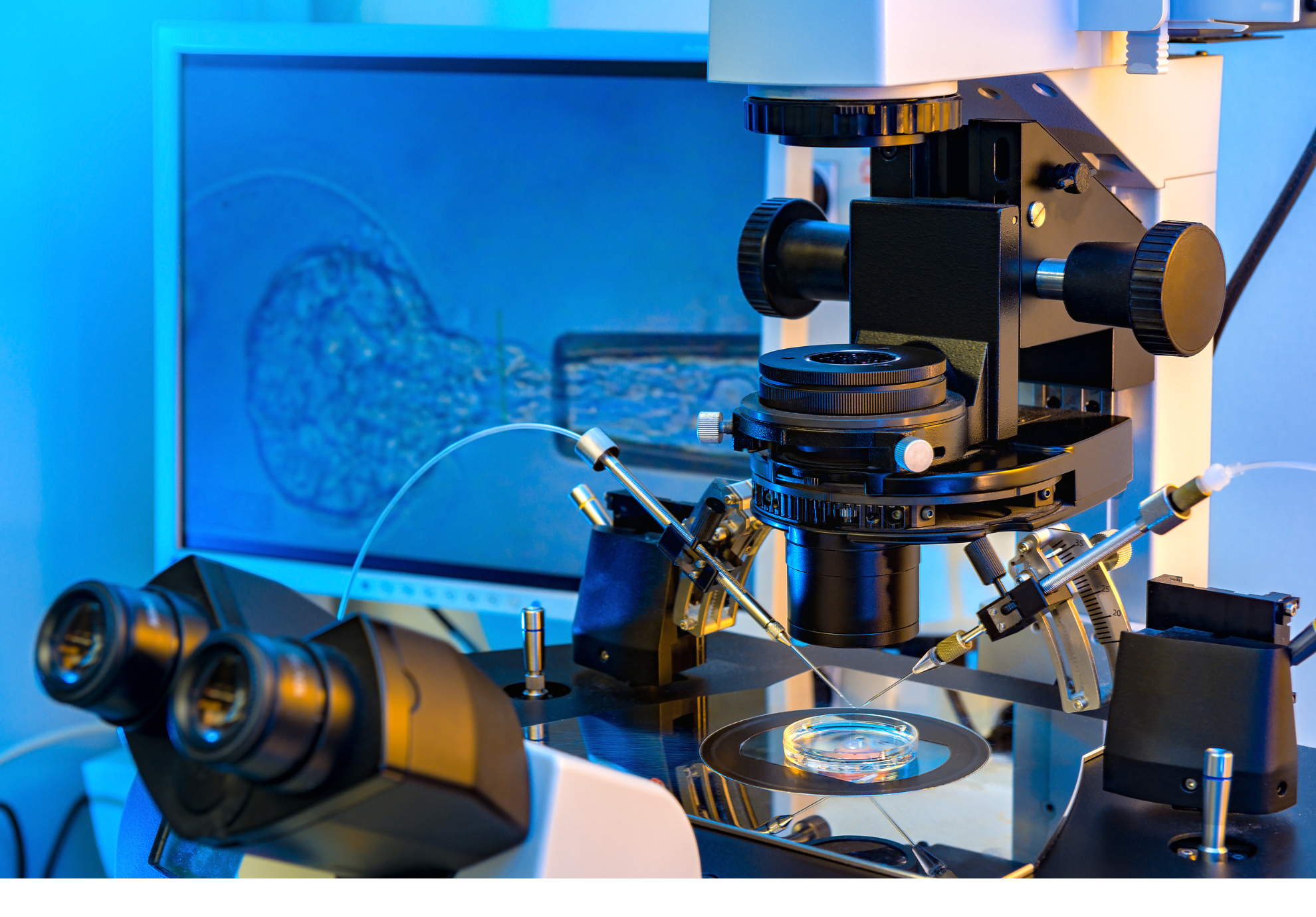 Últimas tendencias y tecnologías en fertilidad: mejorando las opciones de tratamiento en la reproducción asistida